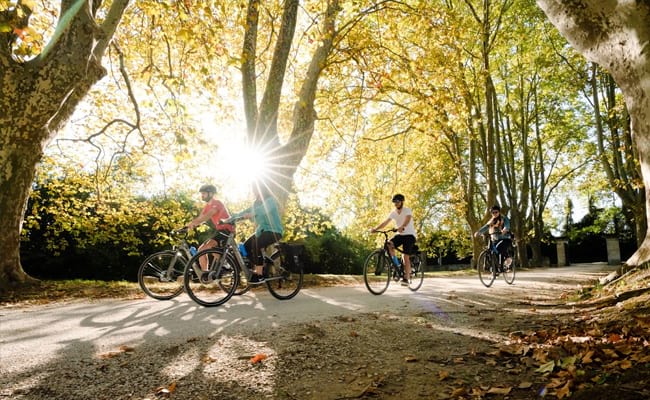 Family cycling together