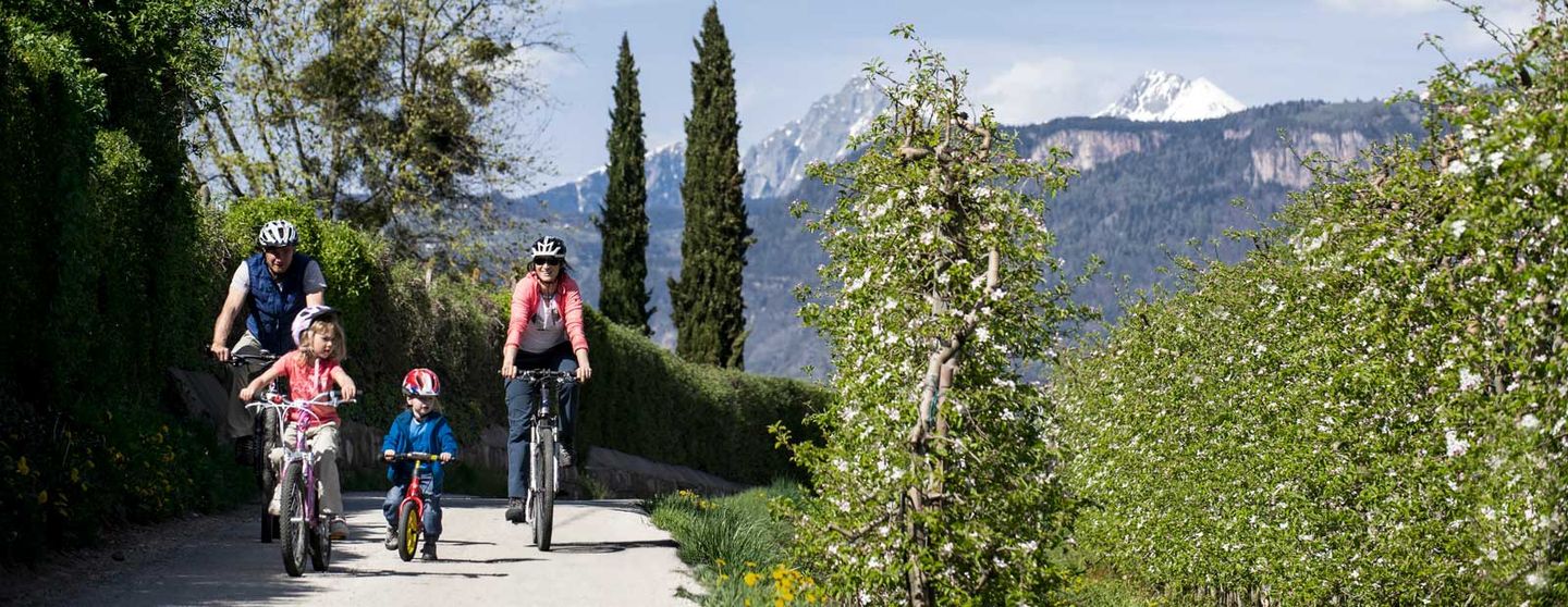Cycling holidays with families online