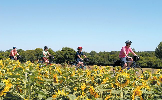 Family Cycling Holidays France: Family Cycling in Burgundy