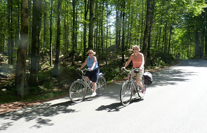 The perfect Christmas gift: Family cycling