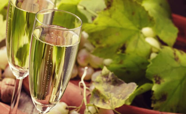 Epernay to Châlons-en-Champagne