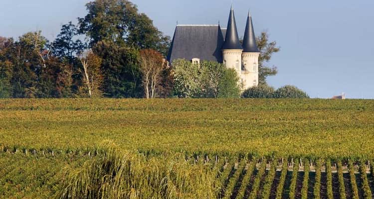 Wine chateaux