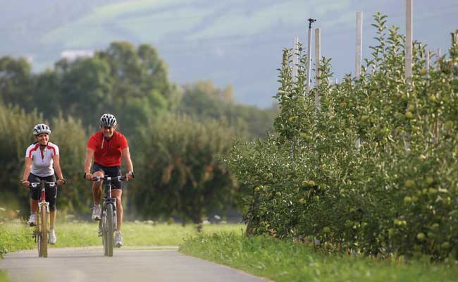 South Tyrol cycle route