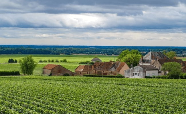 Alsace Route du Vin cycling holiday