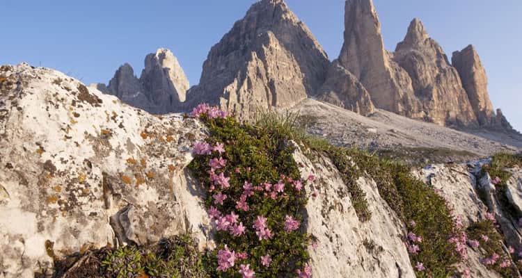 Adige Valley cycle path in Italy