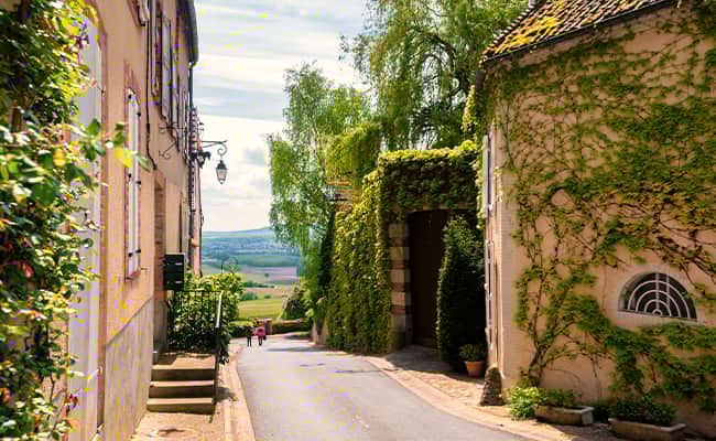 Champagne Cycling Holidays