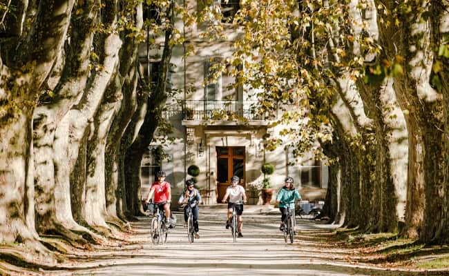 Provençal Discovery, France