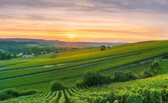 Libourne Round Trip to St Emilion cycle route