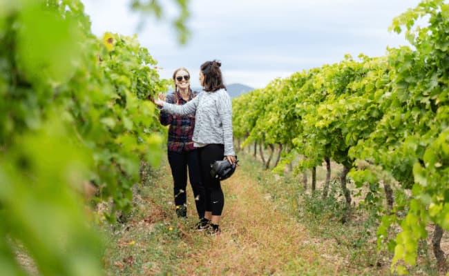 Mazan to Chateauneuf du Pape cycle route