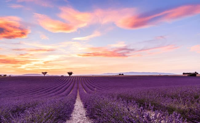 Picture Postcard Provence cycling holiday