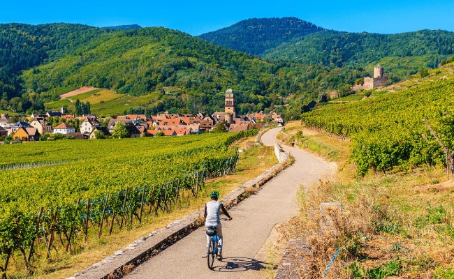 Alsace Route du Vin