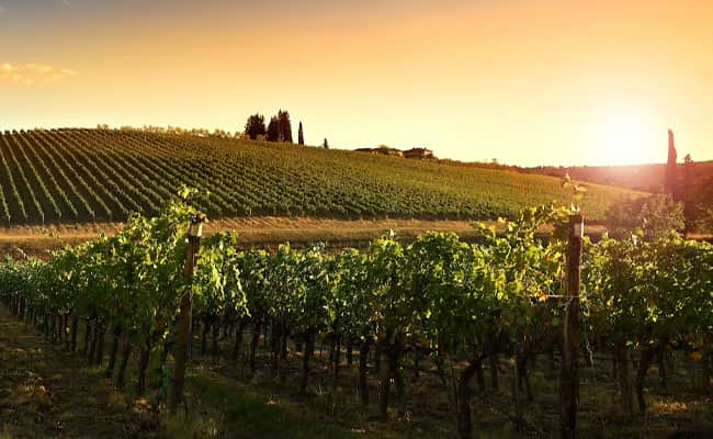 The Umbrian Experience