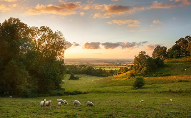 Cotswolds 