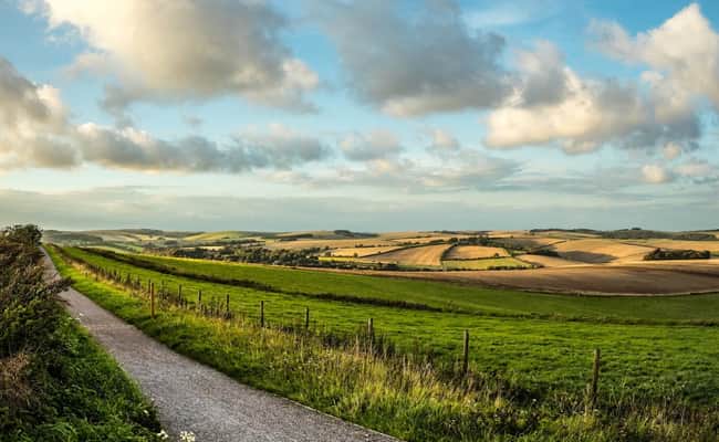 Best Restaurants in Sussex