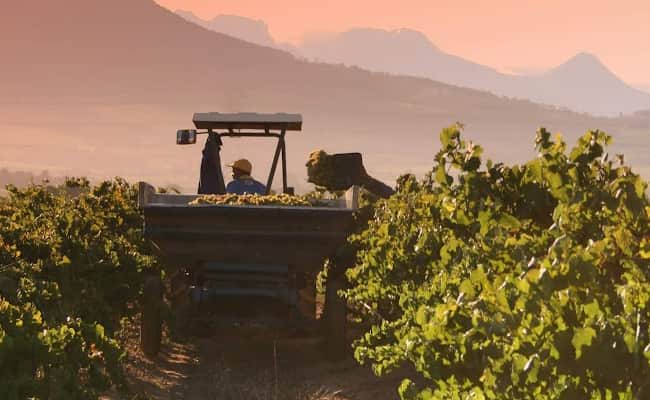 Best Restaurants in Burgundy