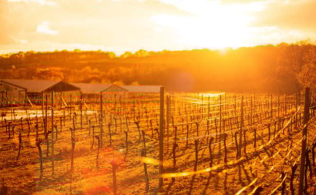 Sussex Ockenden Manor Cycling Tour