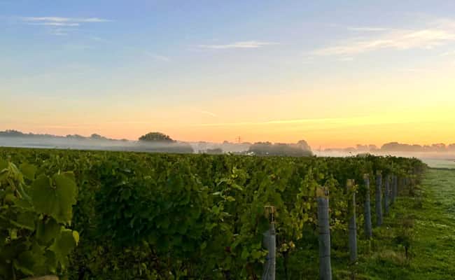 Sussex Beach Break Cycling Tour