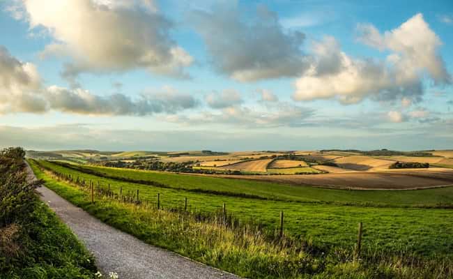 Sussex Cycling Holidays