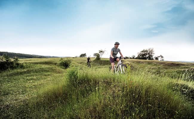 Efficient and Timely