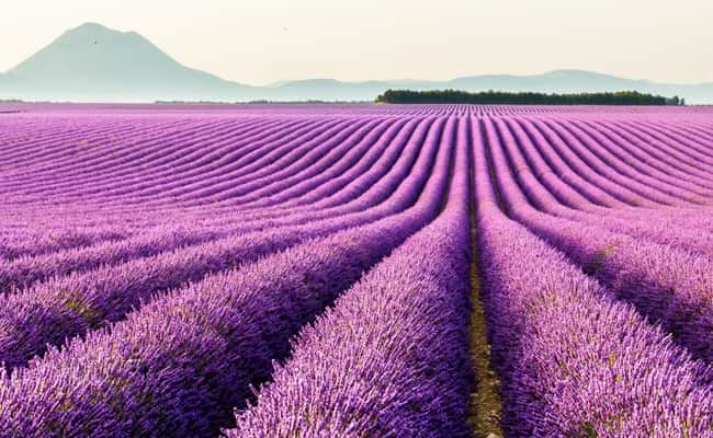 Provence Cycling Holidays