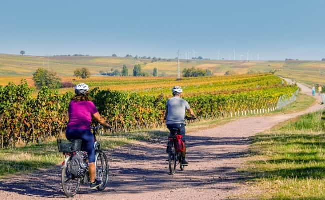 Cycling Through Fields