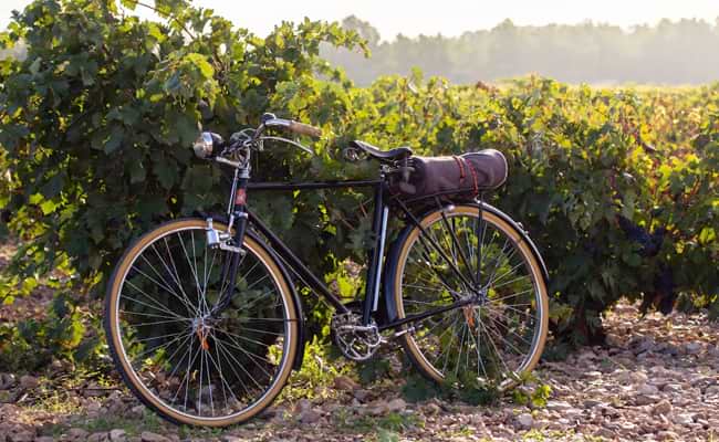 When to visit Champagne