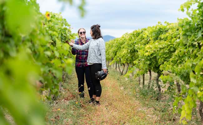 Best Time to go Cycling in France