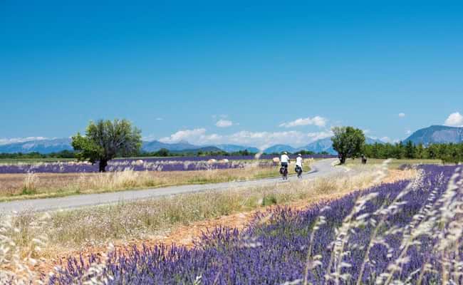 Best Time to go Cycling in France
