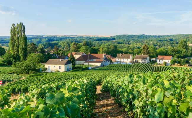 Cycling in Champagne