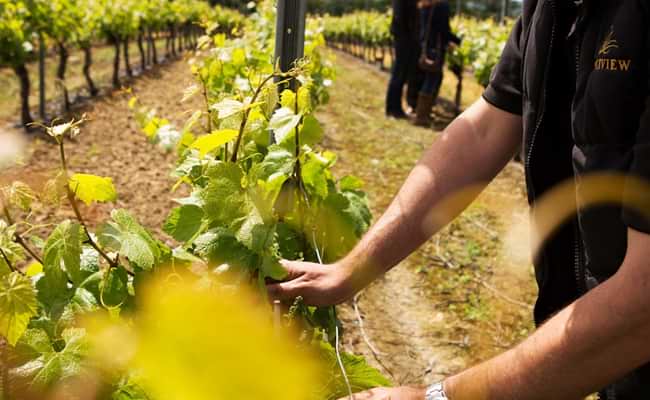 Short Break Cycling Holidays Ockenden