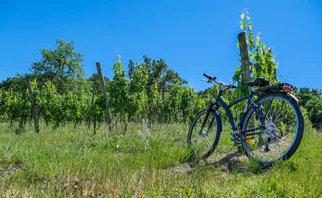 How to Plan a Spring Cycling Holiday for Friends