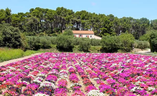 Prettiest Views on our Tours