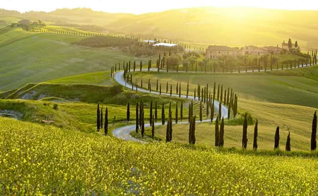 Romantic Vistas in the Val D'Orcia