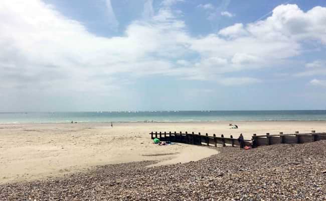 Fossils in Littlehampton