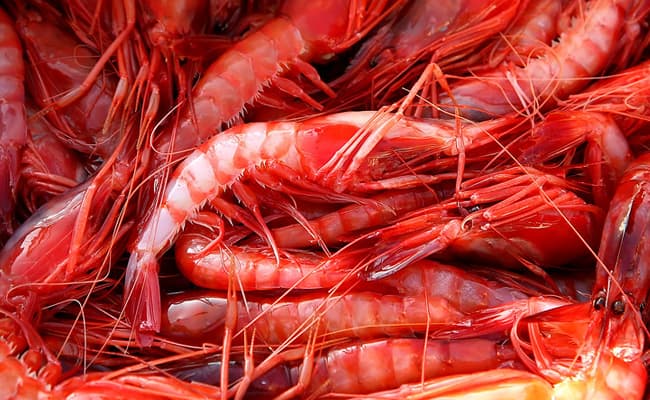 Gambas de Palamos