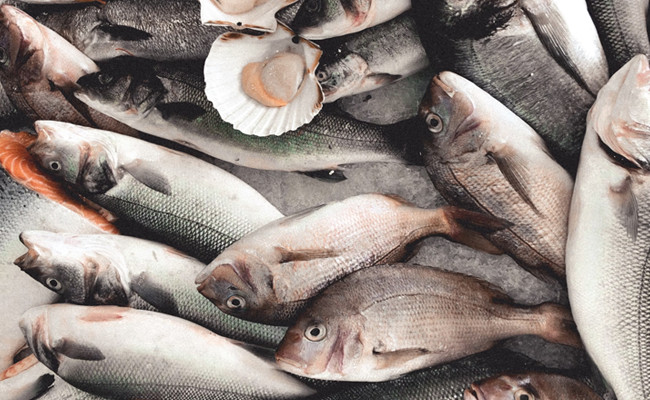 Normandy Marmite Diep