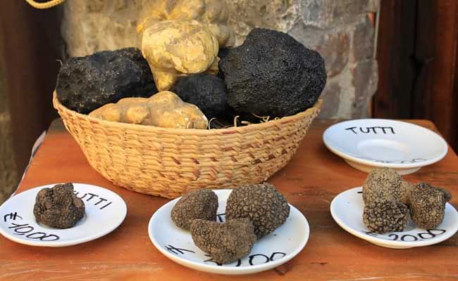 Umbria Truffles