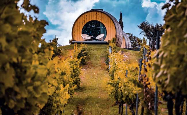 Wine Regions Douro Valley Graps