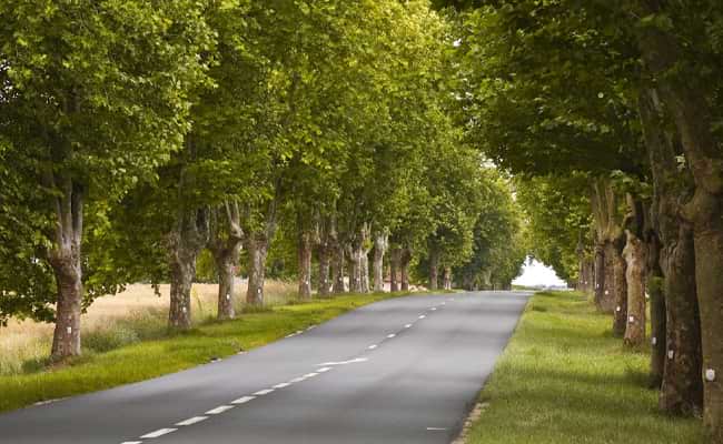 Why We’ve Measured Our Carbon Footprint