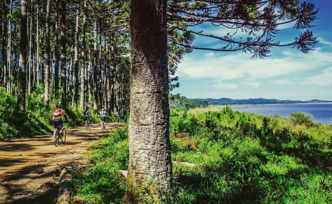 Our Sustainability So Far