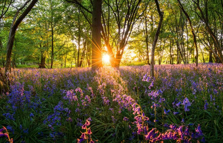 Our commitment to sustainability