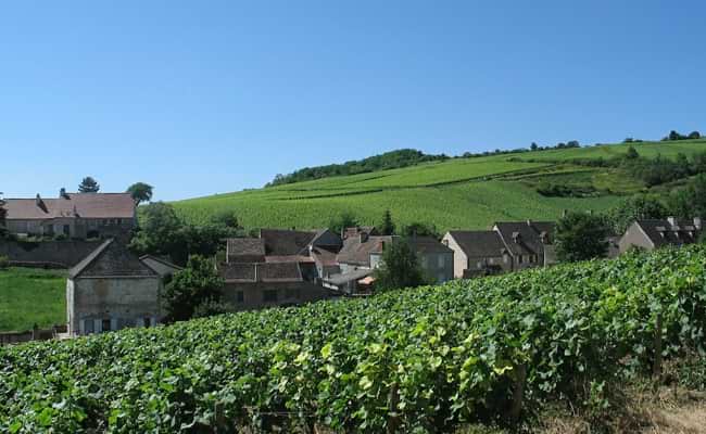 Route des Grand Crus