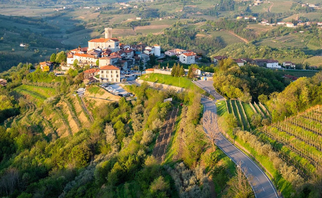 Vineyards Best Cycling Routes in Slovenia