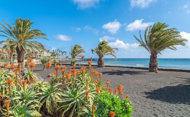 beach in Lanzarote