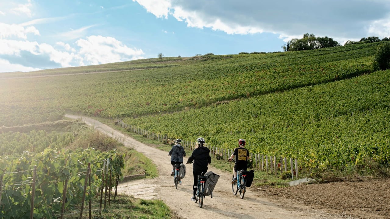 Self Guided Cycling Holidays France